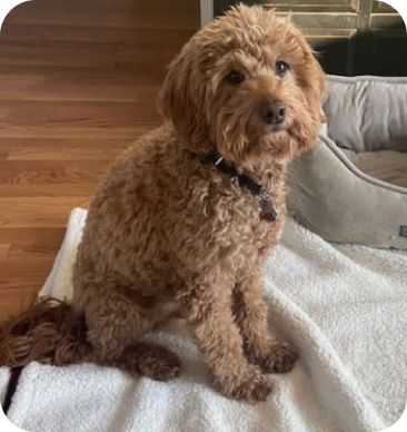 Testimonials 11 m 10