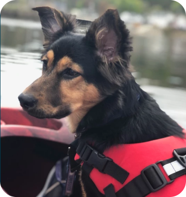 Testimonials 13 m 11