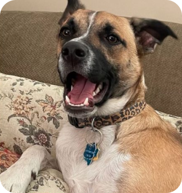 Testimonials 15 m 13