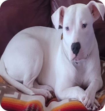 Testimonials 18 m 17