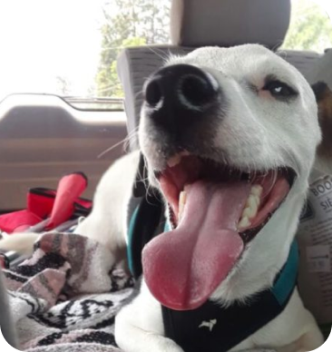 Testimonials 14 m 19