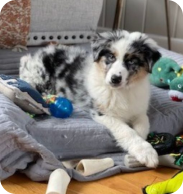 Testimonials 17 m 20