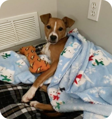 Testimonials 12 m 21