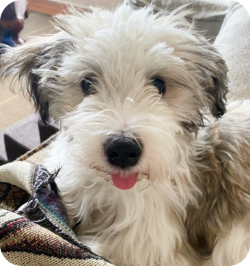 Testimonials 16 m 23