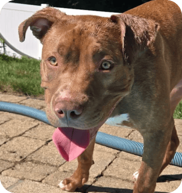 Testimonials 28 Bronx