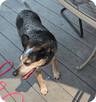 Testimonials 30 Zephra