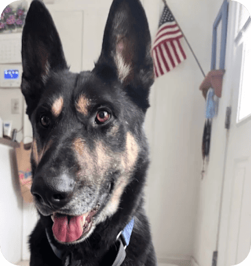 Testimonials 26 m 10 1