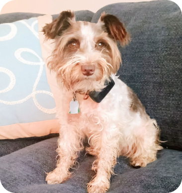 Testimonials 32 Fonso