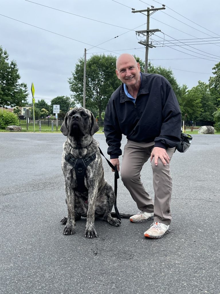 Dog training classes teaching obedience, socialization, and confidence.